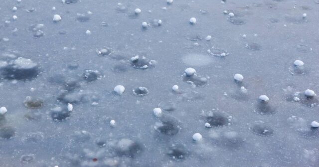 Hail balls after heavy rain lying on icy road.