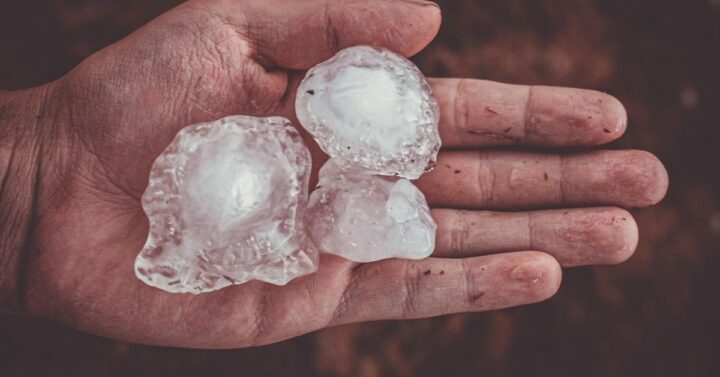 A hand holding several large hailstones.
