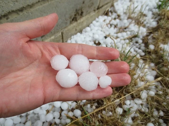 Large hail stones from recent storm in Sydney.