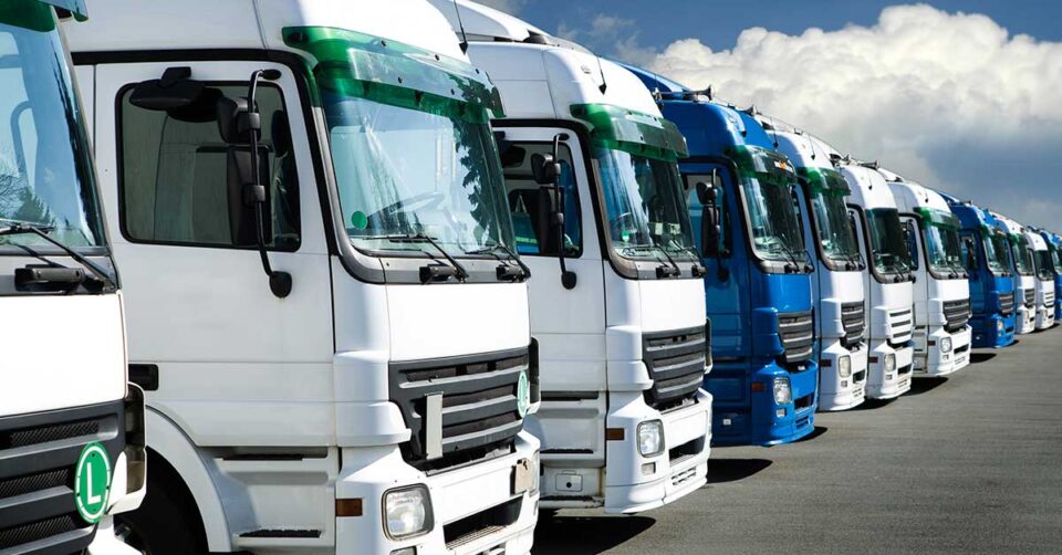 Row of trucks showing their windscreens and side windows.